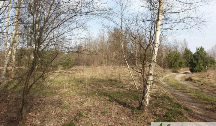 Działka budowlana Zator