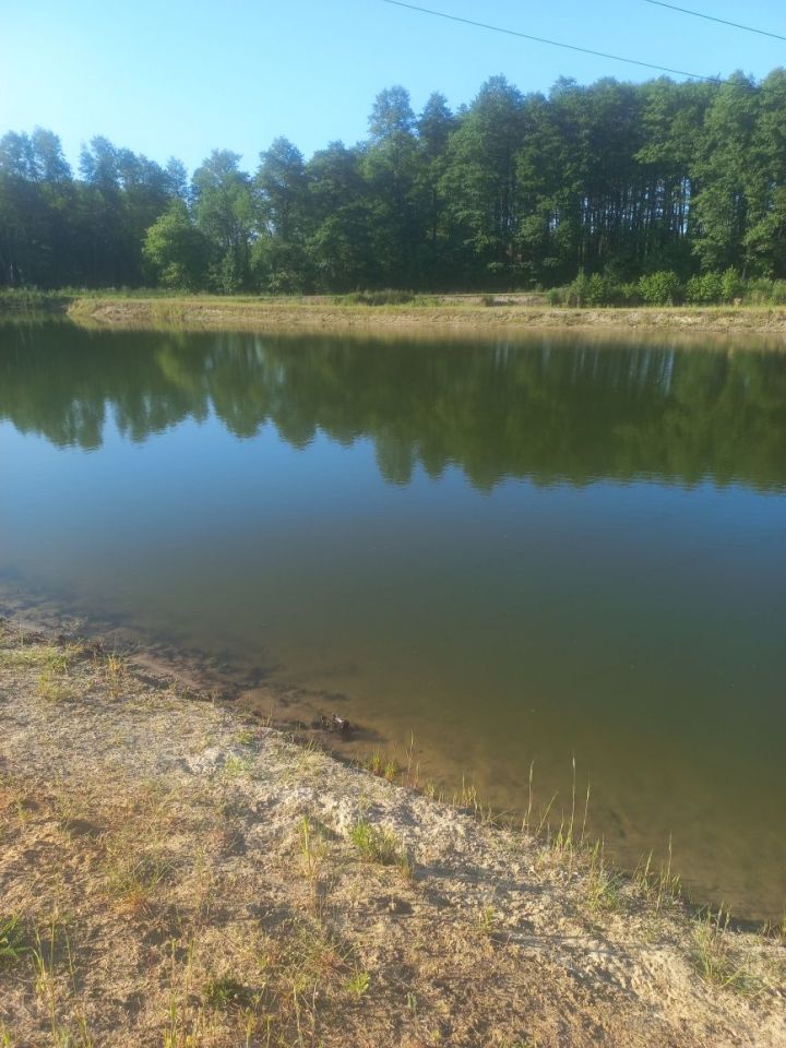 Działka budowlana Nekielka. Zdjęcie 6