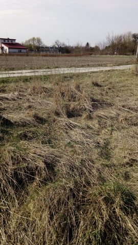 Działka rolno-budowlana Łoziska, ul. Skrawek Nieba. Zdjęcie 5