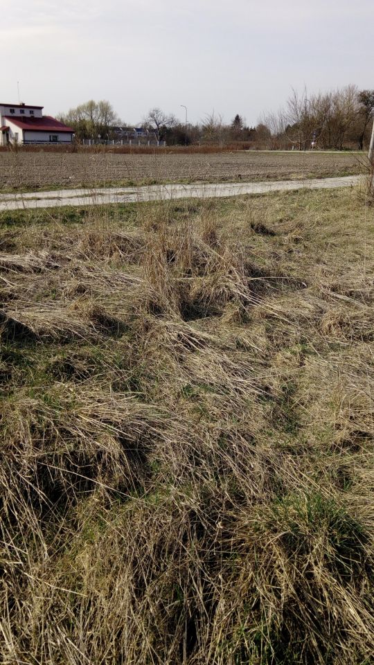 Działka rolno-budowlana Łoziska, ul. Skrawek Nieba. Zdjęcie 6