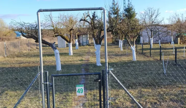 Działka rod Dębno, ul. Dargomyska