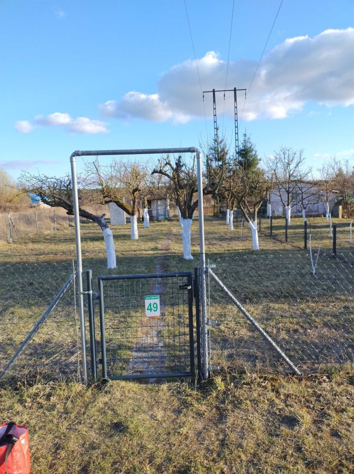 Działka rod Dębno, ul. Dargomyska. Zdjęcie 1