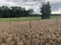 Działka budowlana Kolankowo, ul. Sielanka. Zdjęcie 3