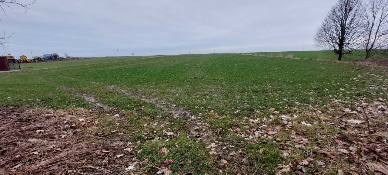 Działka budowlana Marianów. Zdjęcie 2