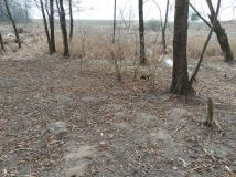 dom wolnostojący, 2 pokoje Średnie Duże. Zdjęcie 3