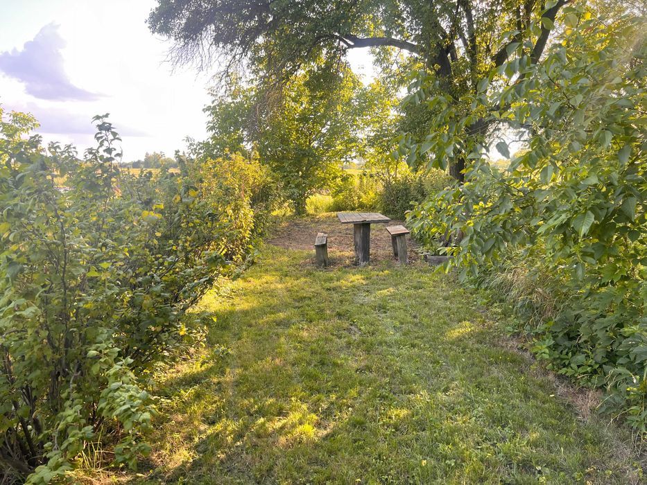 Działka rod Zamość, ul. Aleksandra Fredry. Zdjęcie 6