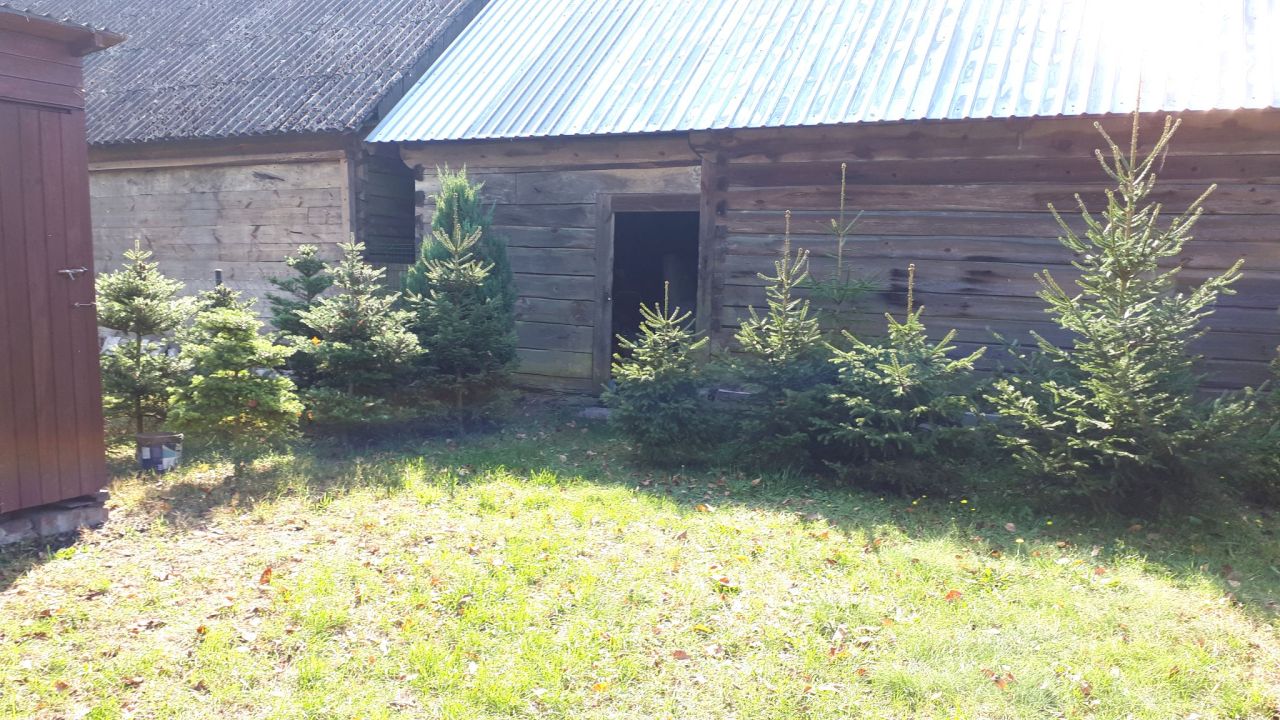 Działka rekreacyjna Morzyczyn Włościański. Zdjęcie 4