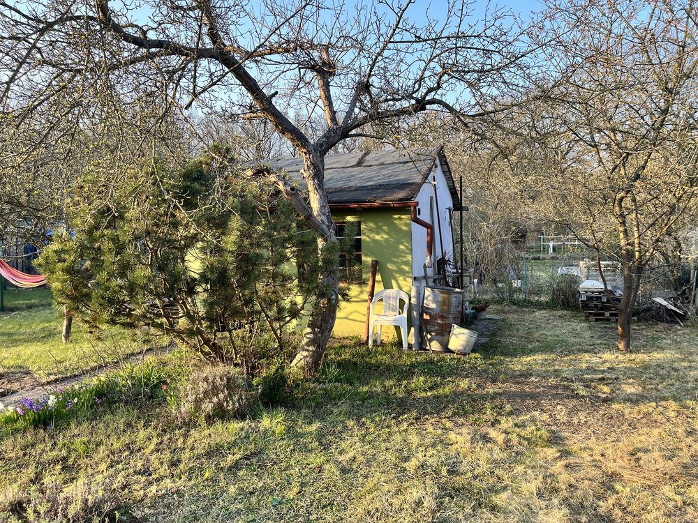 Działka rod Wrocław Psie Pole. Zdjęcie 5