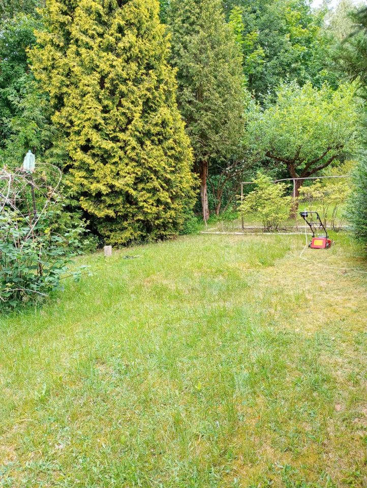 Działka rod Justynów, ul. Hulanka. Zdjęcie 2