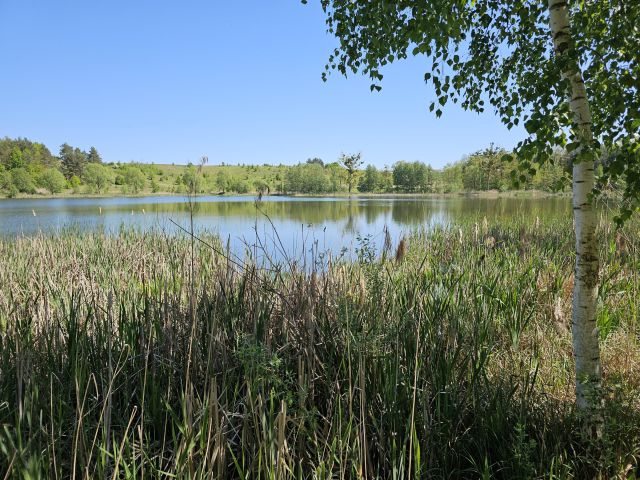 Działka inwestycyjna Macikowo. Zdjęcie 2