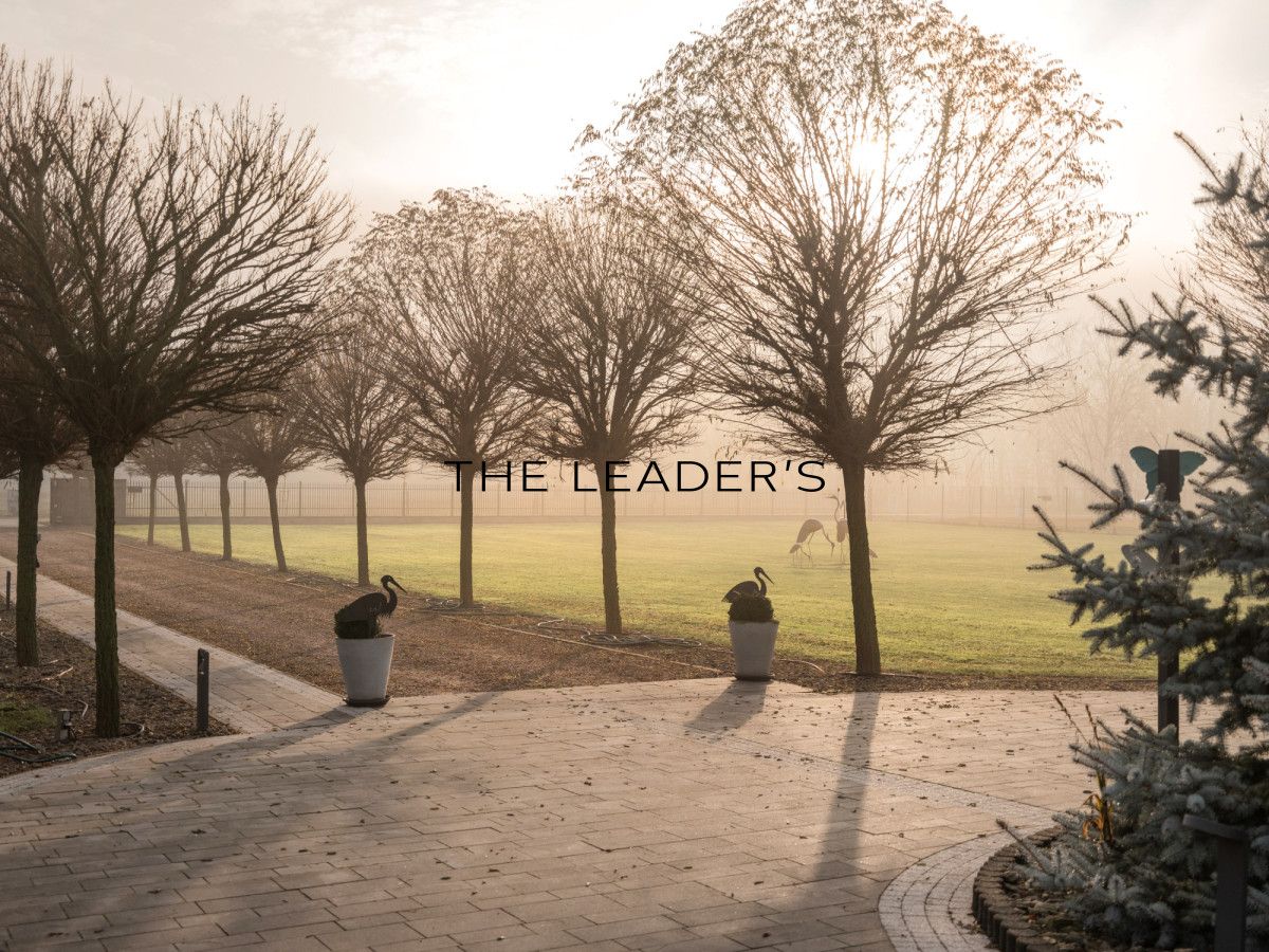 dom wolnostojący, 8 pokoi Kampinos. Zdjęcie 3