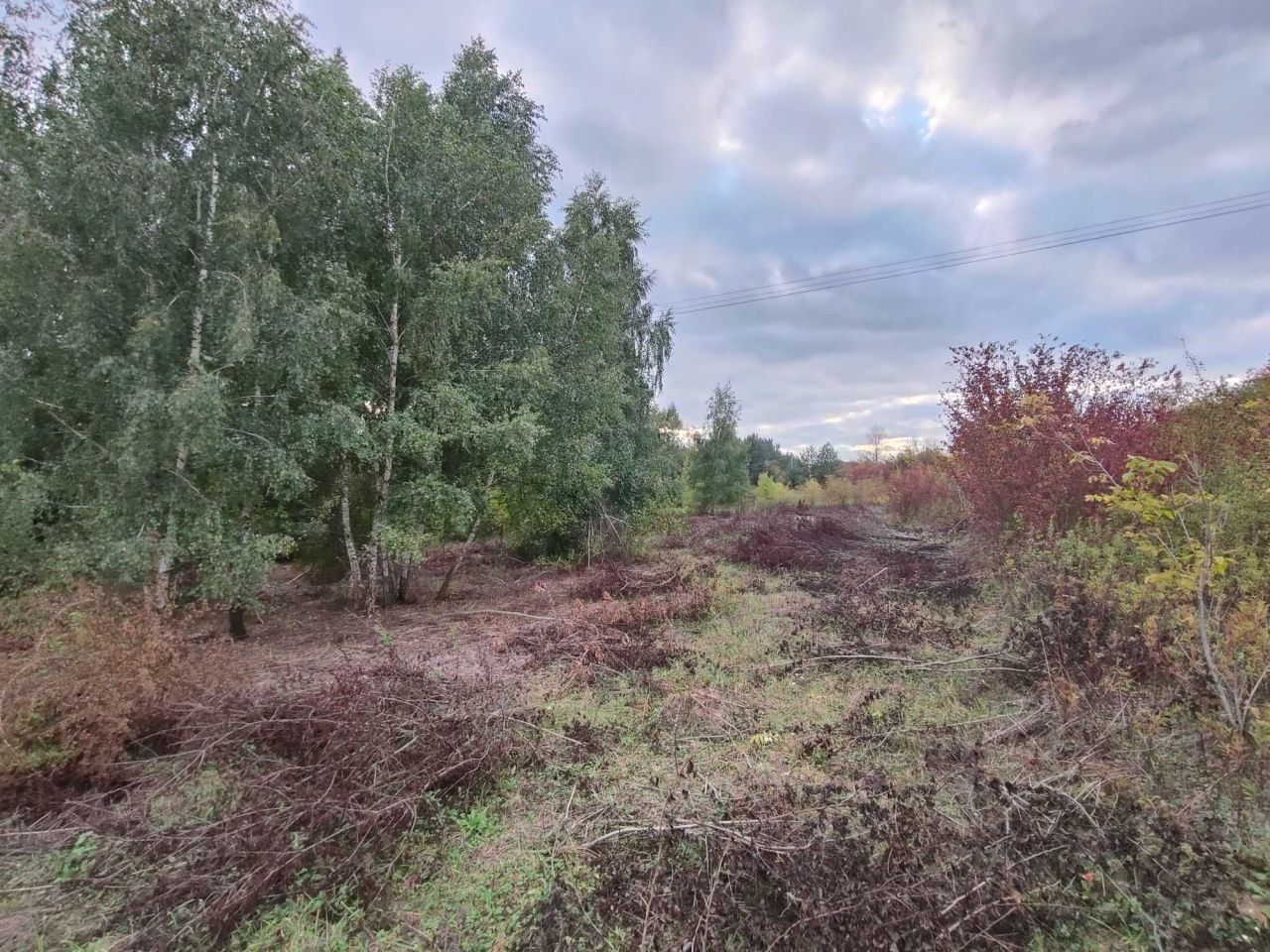 Działka budowlana Wyszogród, ul. Czerwińska. Zdjęcie 6