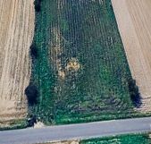 Działka budowlana Panieńszczyzna. Zdjęcie 1