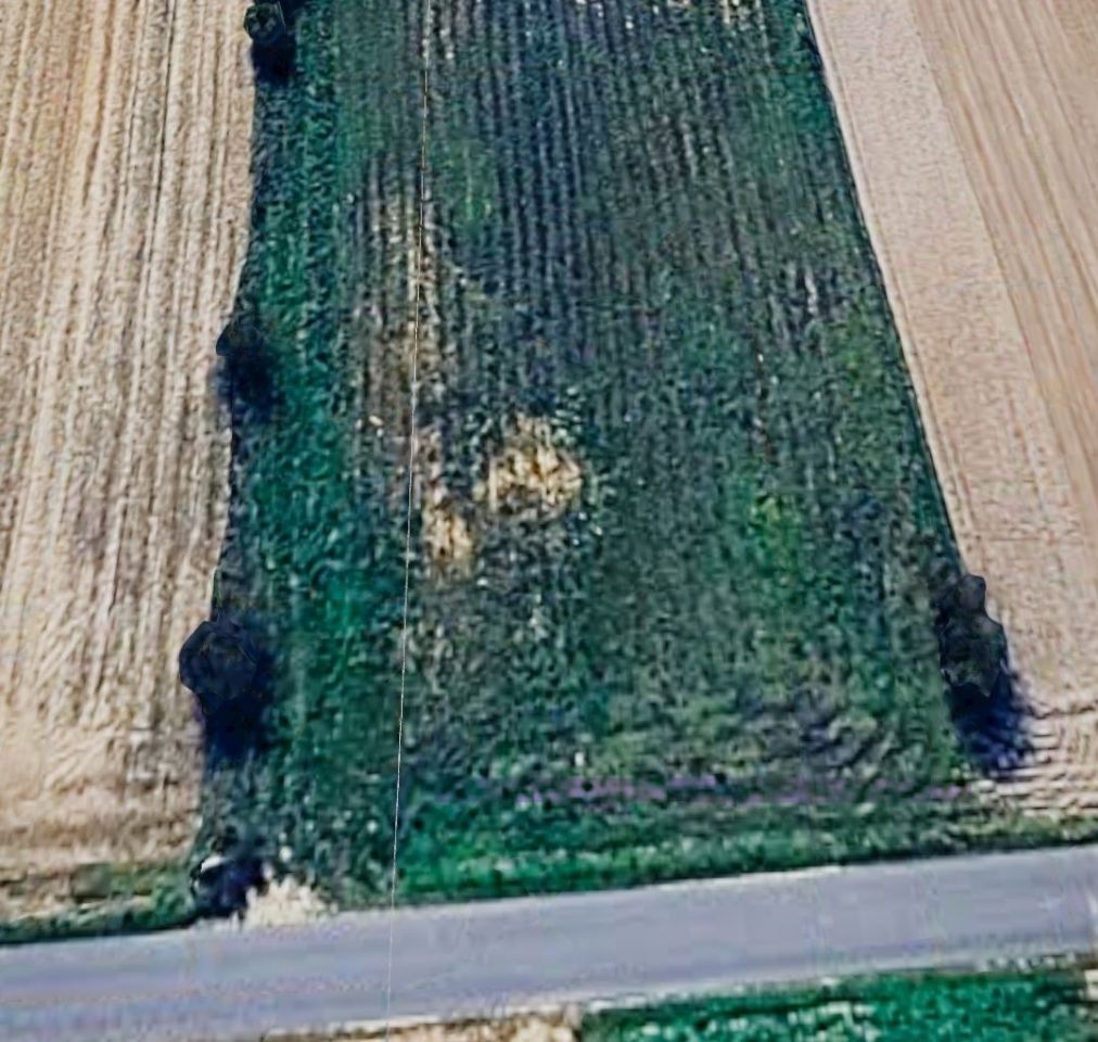 Działka budowlana Panieńszczyzna. Zdjęcie 2