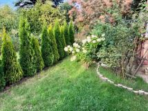 Działka rod Warszawa Wilanów. Zdjęcie 1