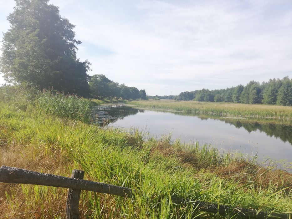 Działka rekreacyjna Modzele. Zdjęcie 1
