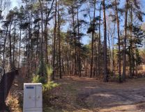 Działka leśna Rosanów, ul. Zielona. Zdjęcie 1