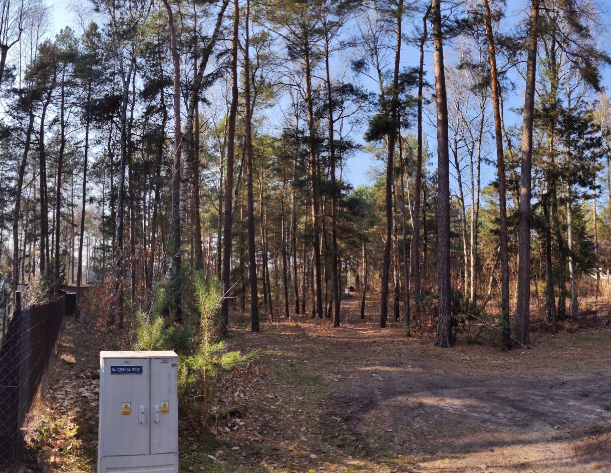 Działka leśna Rosanów, ul. Zielona. Zdjęcie 2