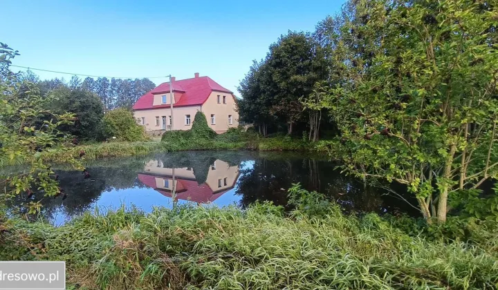 siedlisko, 6 pokoi Borowy Młyn