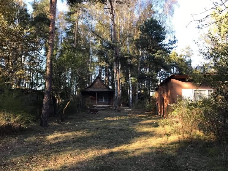 Działka rolno-budowlana Trzcianka Brzezina. Zdjęcie 4