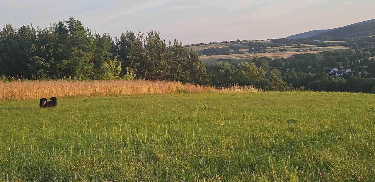 Działka rolno-budowlana Skały. Zdjęcie 7