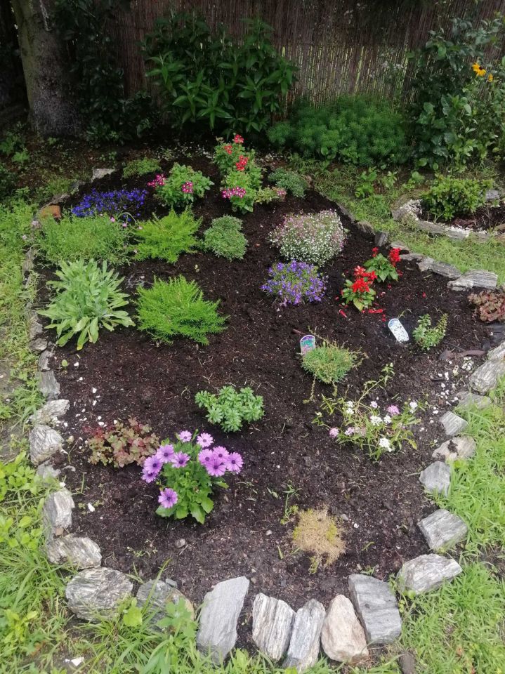 Działka rod Bytom. Zdjęcie 4