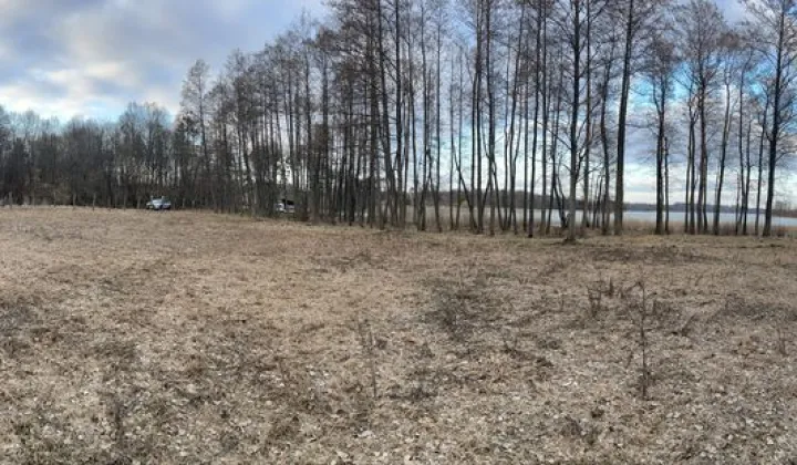 Działka leśna Sople