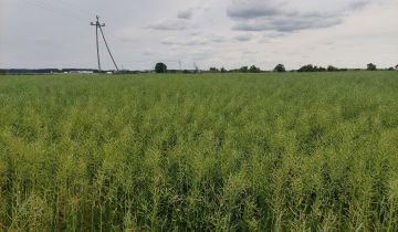 Działka rolna Świdnik Duży Świdnik Duży Drugi