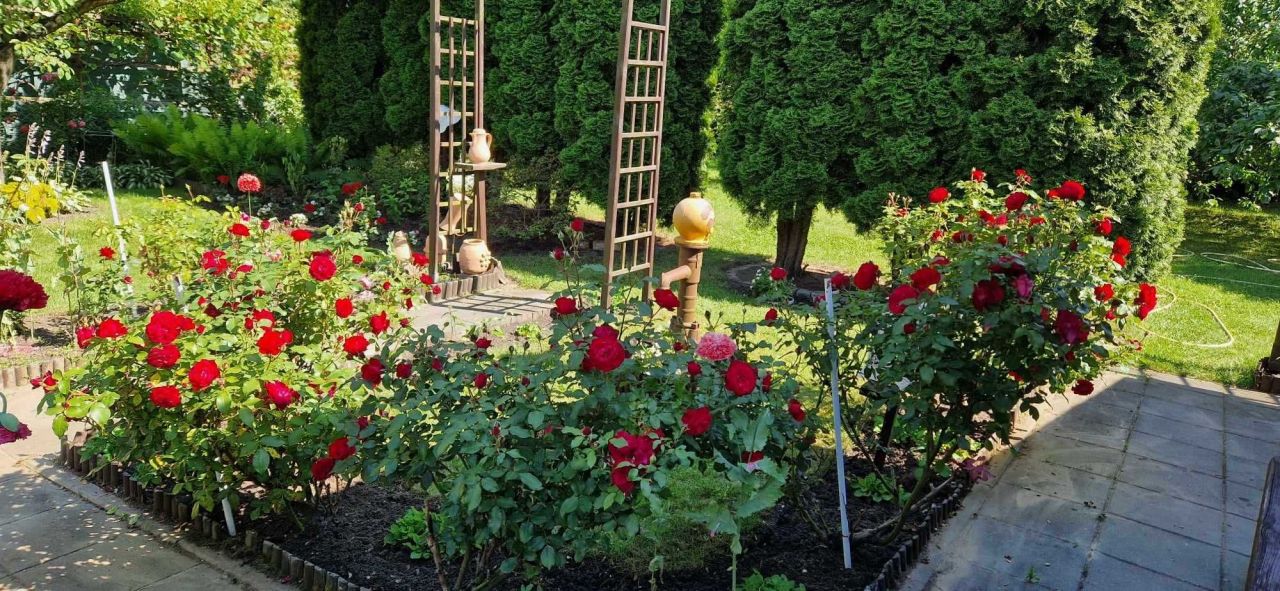 Działka rod Lubin. Zdjęcie 2