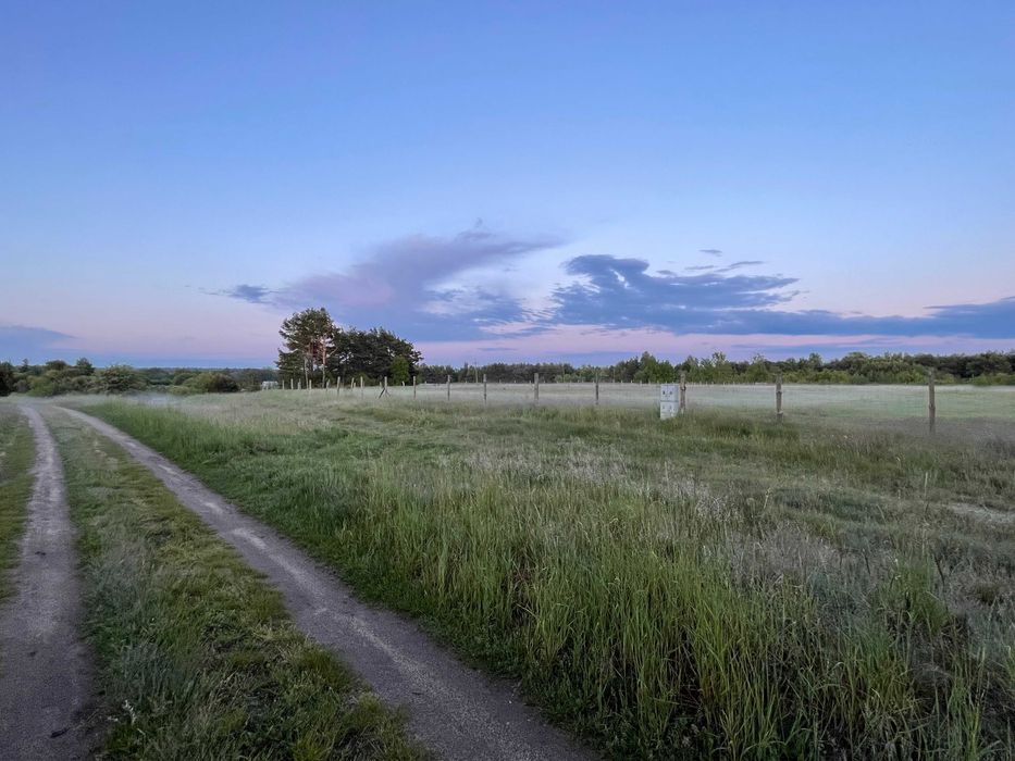 Działka budowlana Szwecja, ul. Podleśna. Zdjęcie 7