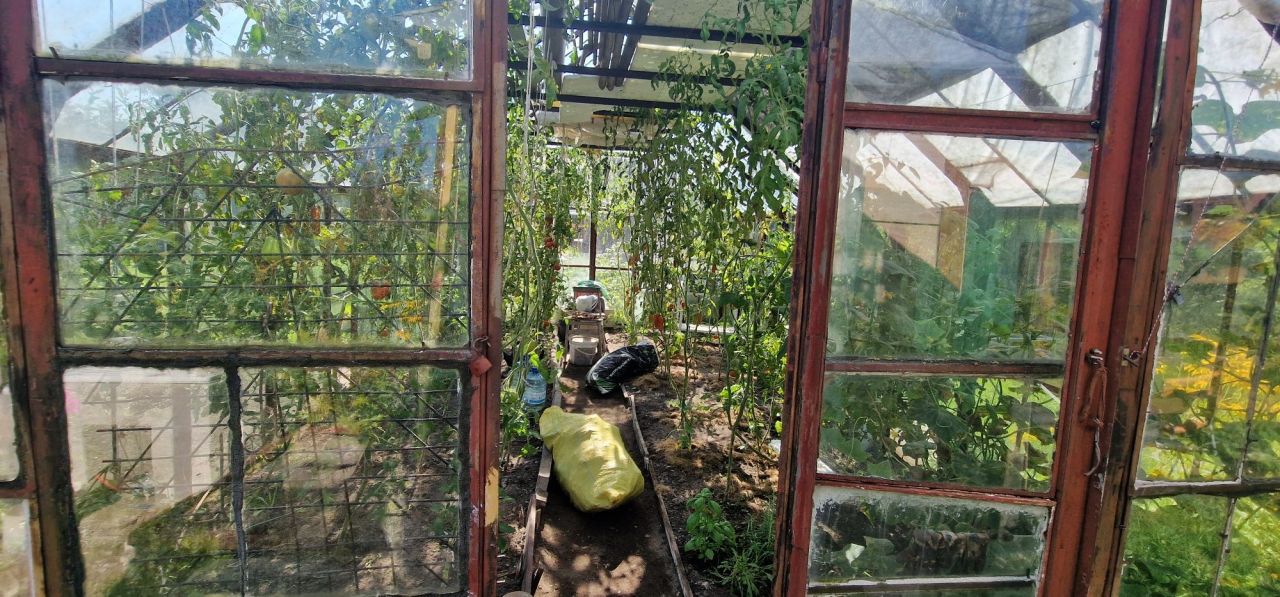 Działka rod Białystok Dziesięciny, ul. Wilcza. Zdjęcie 3