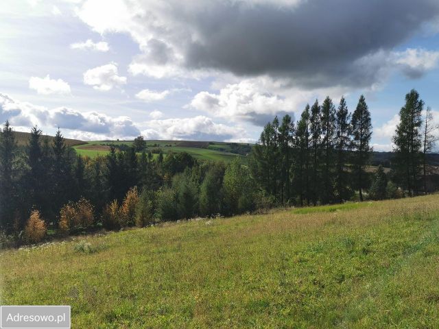 Działka budowlana Bruśnik. Zdjęcie 1