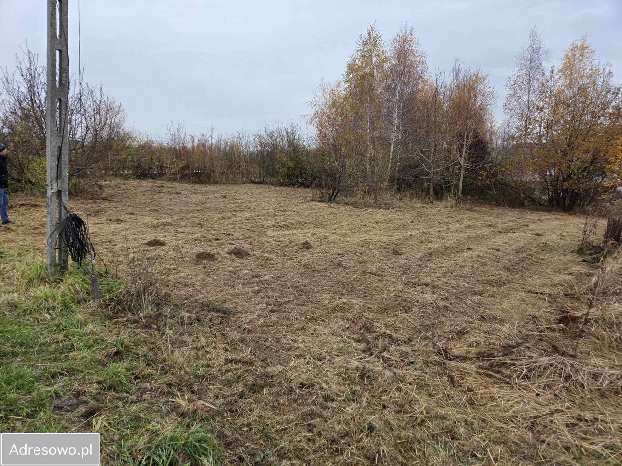 Działka budowlana Michałowice, ul. Leśna. Zdjęcie 3