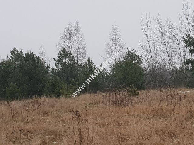 Działka budowlana Czosnów. Zdjęcie 1