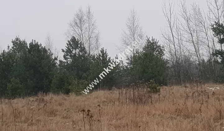 Działka budowlana Czosnów