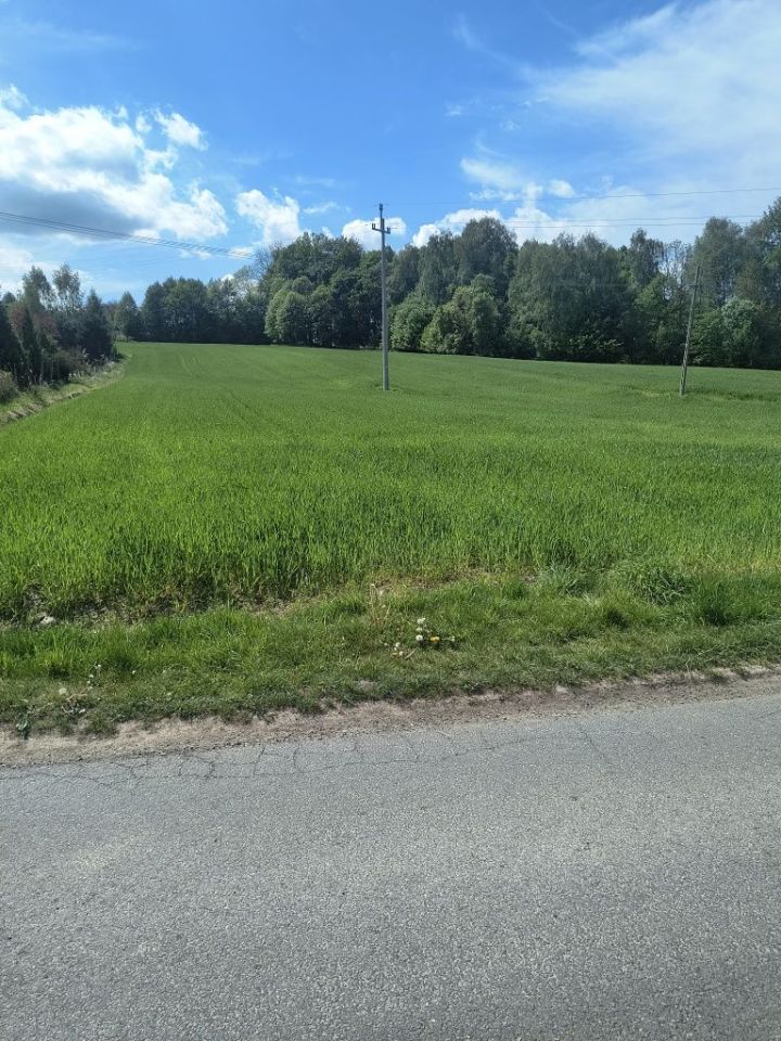 Działka rolno-budowlana Simoradz. Zdjęcie 2