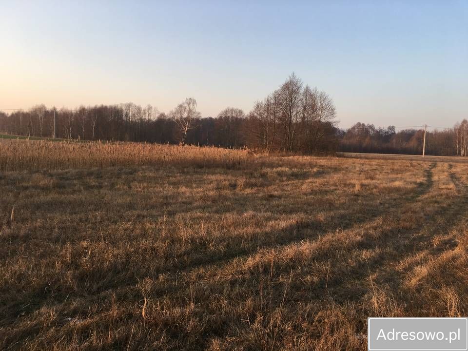 Działka budowlana Holendry Dobrowskie. Zdjęcie 4