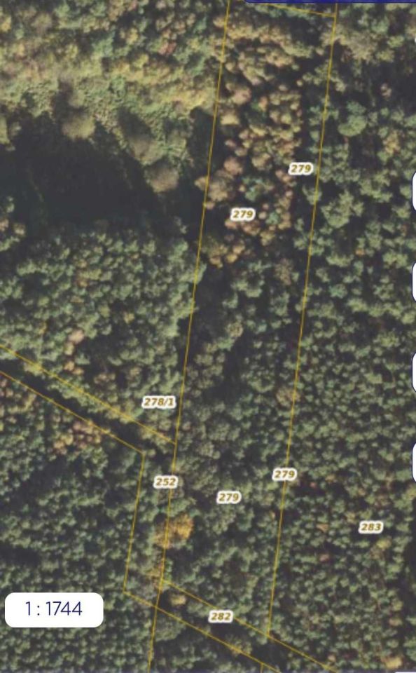 Działka leśna Mąkoszyce. Zdjęcie 3