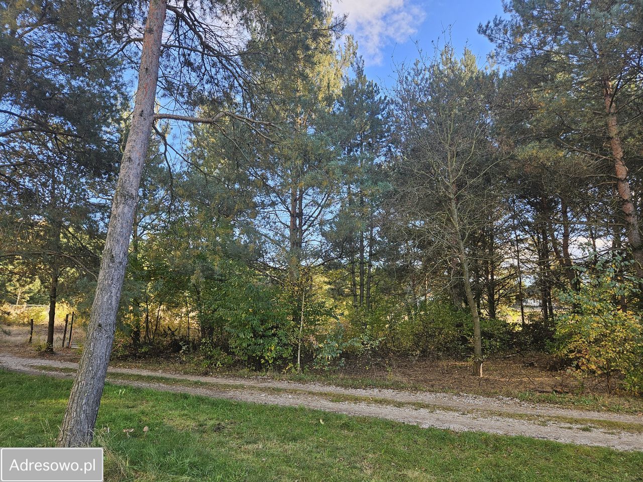 Działka budowlana Bechcice-Wieś. Zdjęcie 6