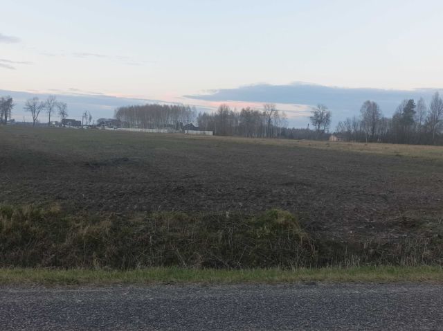 Działka budowlana Truskolasy, ul. Długa. Zdjęcie 1