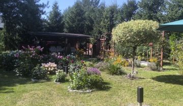 Działka Dąb Polski