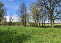 Działka rolna Zalec. Zdjęcie 1