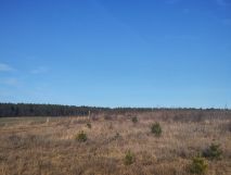 Działka budowlana Janczewo, ul. Długa. Zdjęcie 4