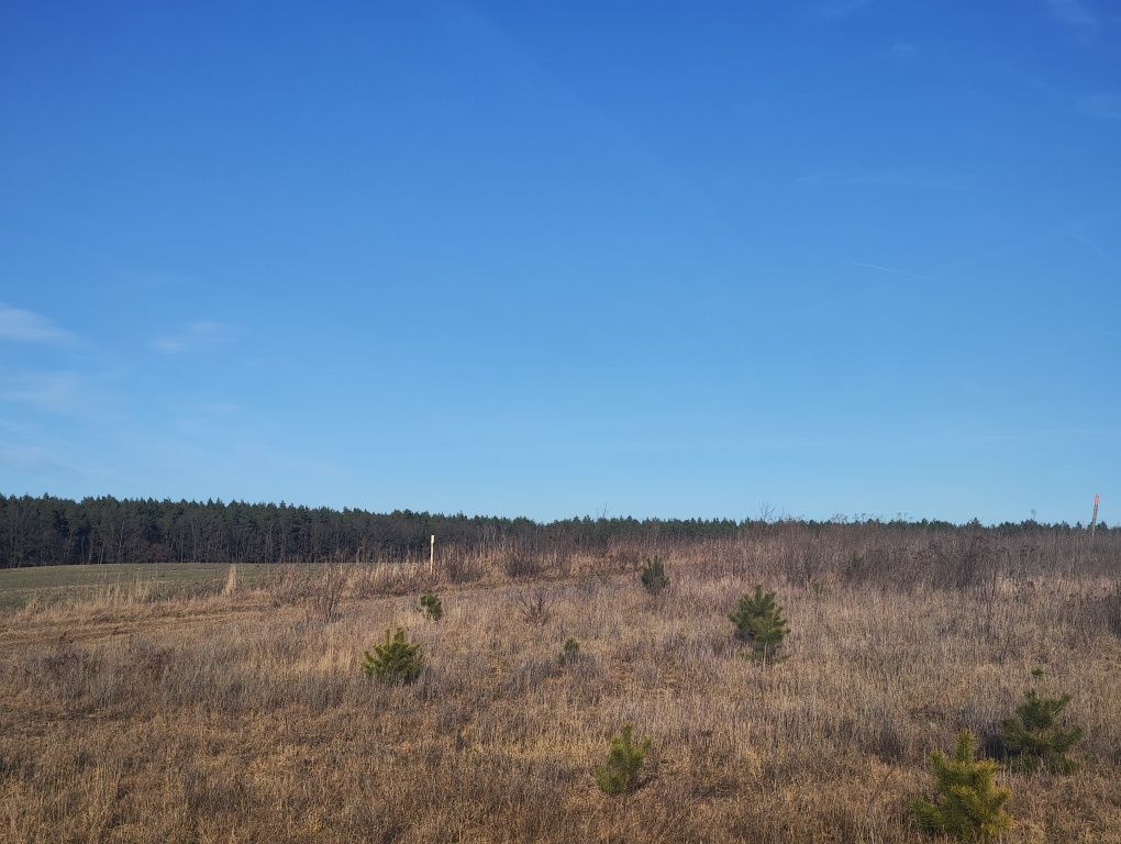 Działka budowlana Janczewo, ul. Długa. Zdjęcie 5