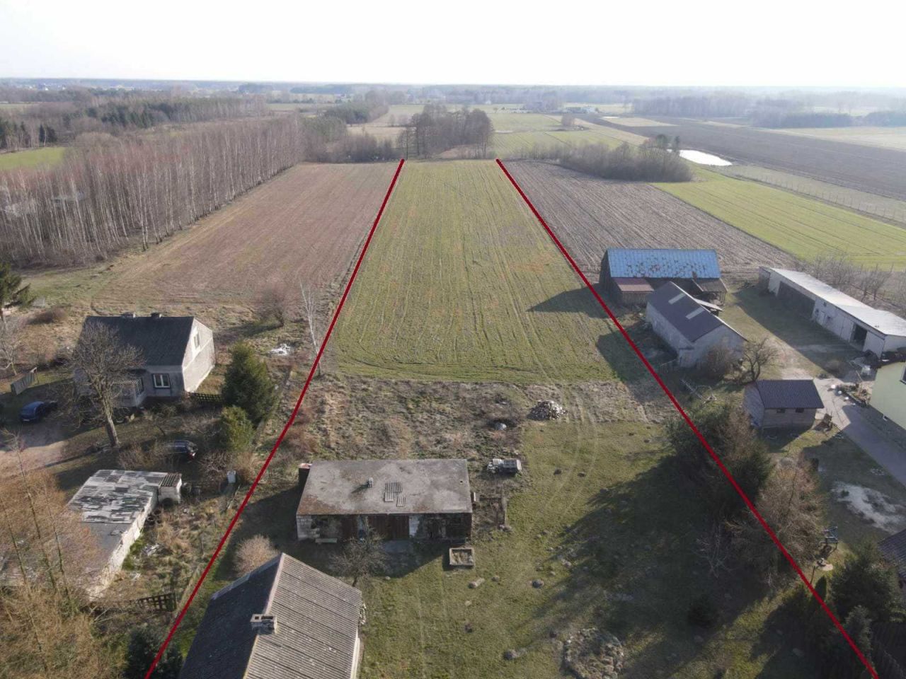 Działka rolna Przywitowo. Zdjęcie 4