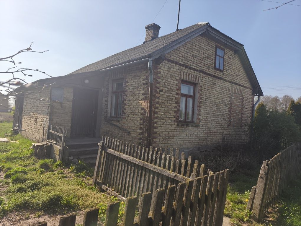 gospodarstwo Ściony. Zdjęcie 3