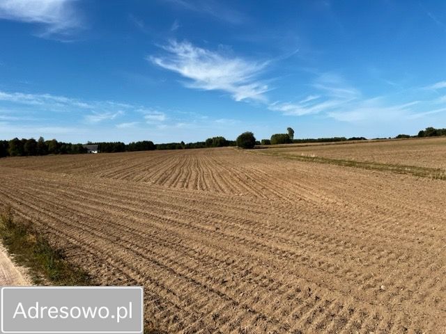 Działka rolno-budowlana Folwark Berżniki. Zdjęcie 8