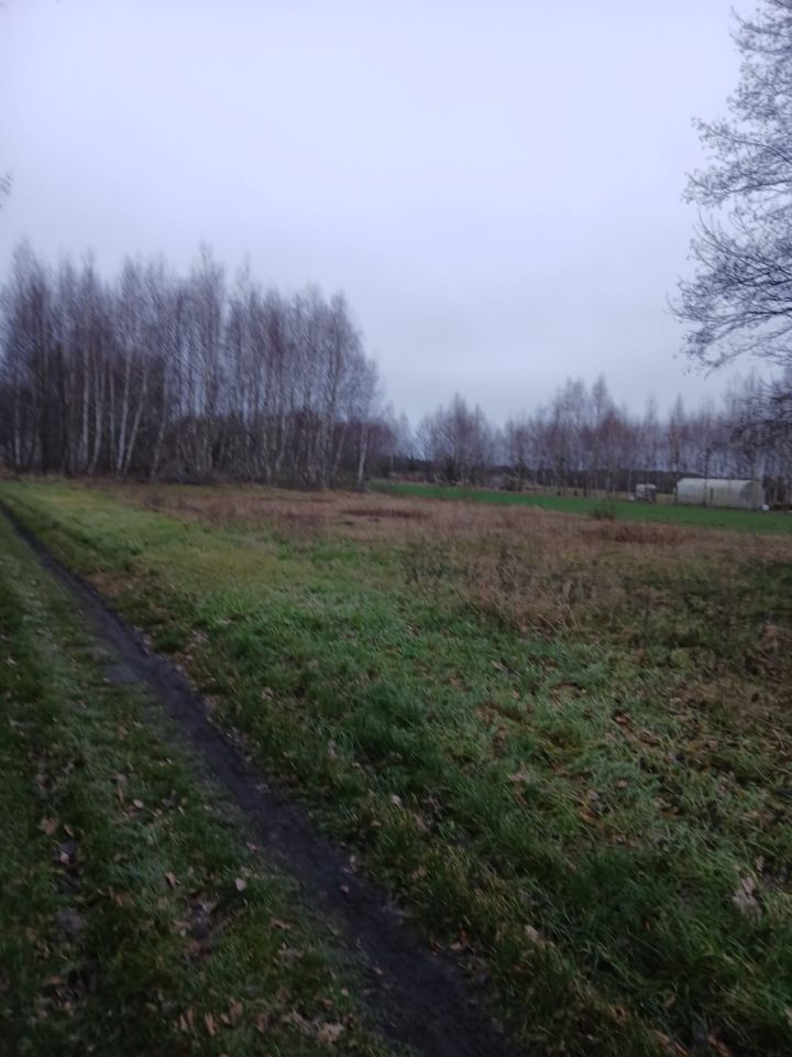 Działka rolno-budowlana Krajanka. Zdjęcie 3