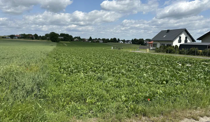 Działka rolno-budowlana Niedrzwica Duża, ul. Cicha