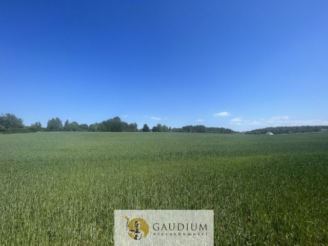 Działka Bielkówko, ul. Studzienna. Zdjęcie 4